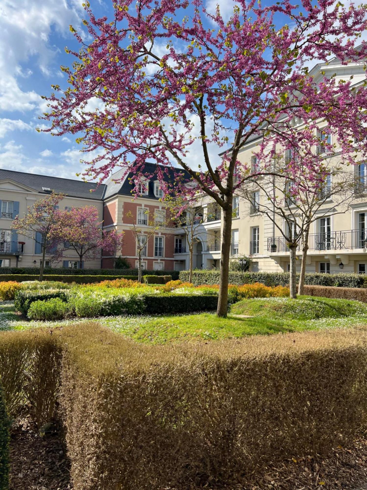 Appartement Disneyland Idealement Situe Serris Zewnętrze zdjęcie